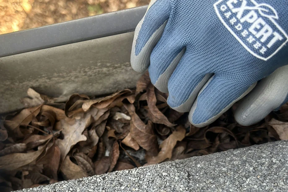 Gutter Cleaning Brookhaven