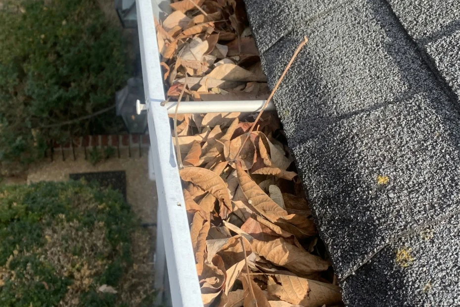 Gutter Cleaning Brookhaven