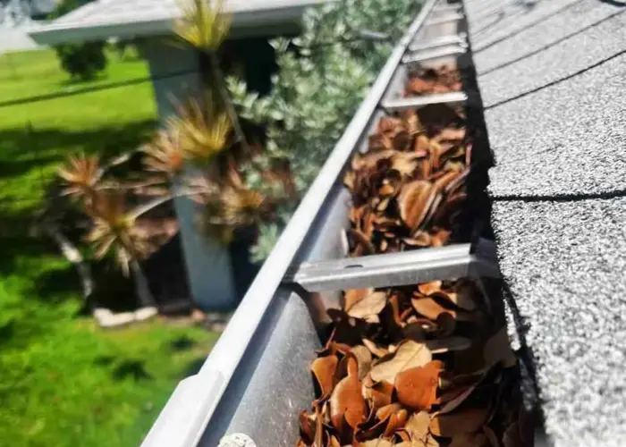 Gutter Cleaning Brookhaven home page